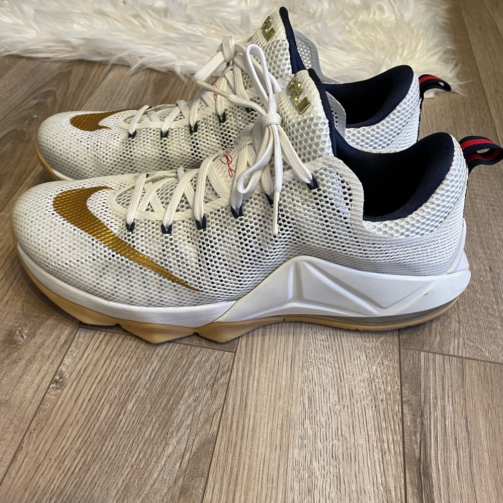 Lebron low 12 USA colorway